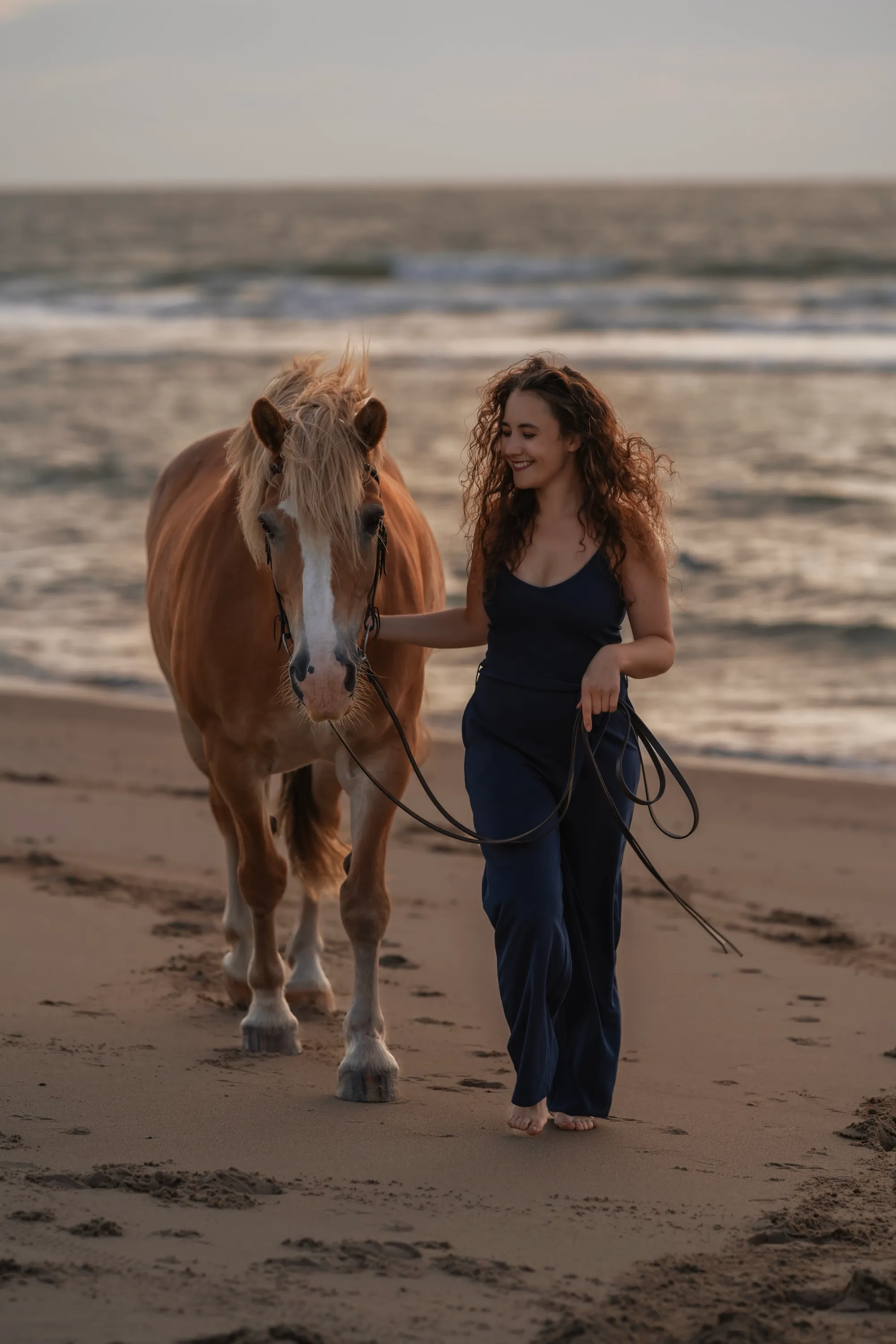 Lachende Frau führt ein Haflinger-Pferd bei Sonnenuntergang am Strand entlang